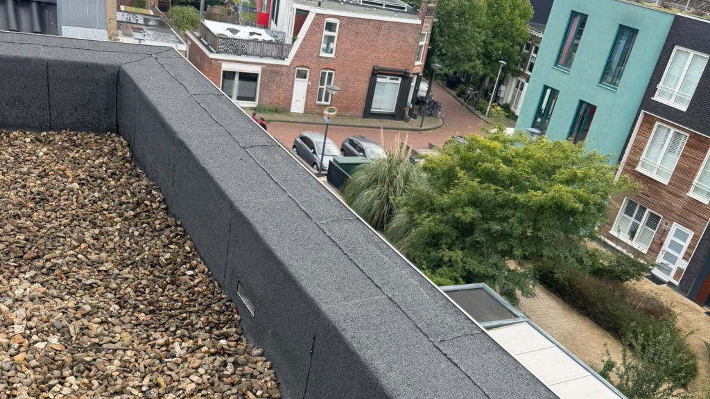 Waarom wij (2)