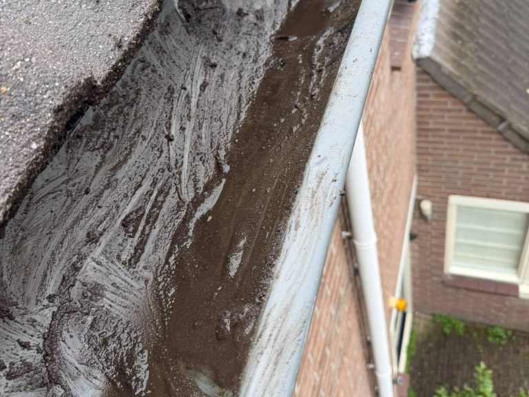 Dakgoot schoonmaken in Noordwijk door Dakdekker Specialist de Duinen